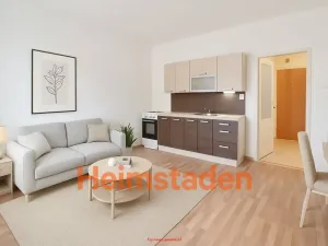Pronájem bytu 1+kk, Havířov - Město, Marxova, 26 m2
