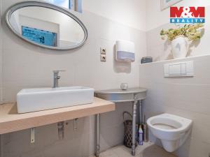 Prodej rodinného domu, Čížová - Zlivice, 206 m2