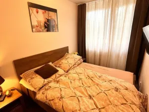 Prodej bytu 3+kk, Praha - Chodov, Tererova, 63 m2