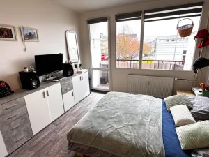 Prodej bytu 3+1, Děčín - Děčín I-Děčín, Kaštanová, 74 m2