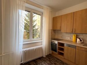 Pronájem bytu 2+1, Karlovy Vary, K. Čapka, 55 m2