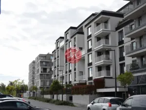 Pronájem bytu 2+kk, Ostrava, F. X. Riepla, 53 m2