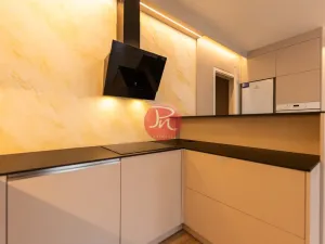 Pronájem bytu 1+kk, Ostrava, F. X. Riepla, 44 m2