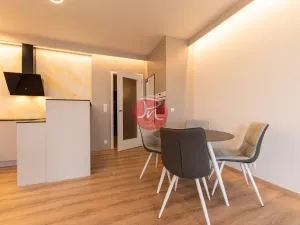 Pronájem bytu 1+kk, Ostrava, F. X. Riepla, 44 m2