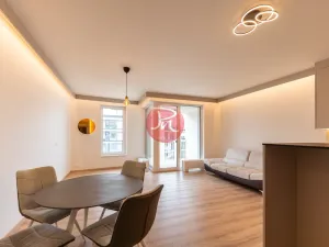 Pronájem bytu 1+kk, Ostrava, F. X. Riepla, 44 m2