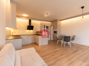 Pronájem bytu 1+kk, Ostrava, F. X. Riepla, 44 m2