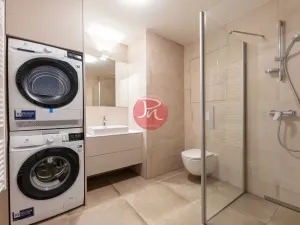 Pronájem bytu 1+kk, Ostrava, F. X. Riepla, 44 m2