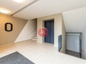 Pronájem bytu 1+kk, Ostrava, F. X. Riepla, 44 m2