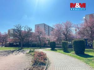 Pronájem obchodního prostoru, Mladá Boleslav - Mladá Boleslav II, Krátká, 265 m2