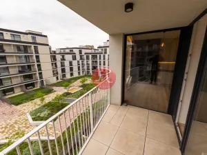 Pronájem bytu 2+kk, Ostrava, F. X. Riepla, 54 m2