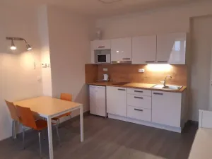 Pronájem bytu 1+kk, Ostrava - Moravská Ostrava, Bachmačská, 28 m2