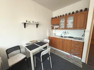Prodej bytu 1+kk, Praha - Záběhlice, Narcisová, 27 m2