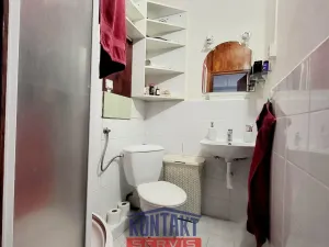 Pronájem bytu 1+1, České Budějovice, J. Buděšínského, 38 m2