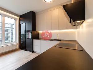 Pronájem bytu 2+kk, Ostrava, F. X. Riepla, 60 m2