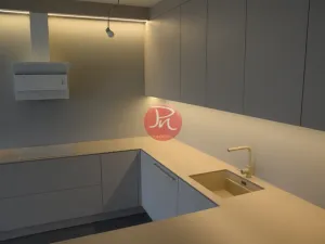 Pronájem bytu 2+kk, Ostrava, F. X. Riepla, 60 m2