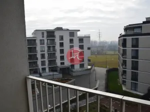 Pronájem bytu 2+kk, Ostrava, F. X. Riepla, 60 m2