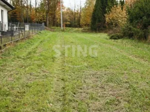 Prodej louky, Hostašovice, 2457 m2