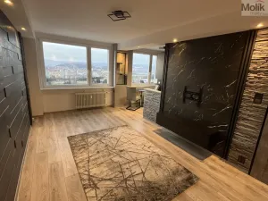 Prodej bytu 1+1, Most, Javorová, 34 m2