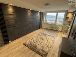 Prodej bytu 1+1, Most, Javorová, 34 m2