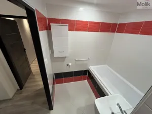 Prodej bytu 1+1, Most, Javorová, 34 m2