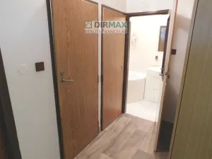 Pronájem bytu 1+kk, Plzeň - Severní Předměstí, Křížkova, 37 m2