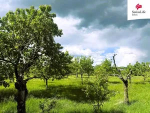 Prodej pozemku pro bydlení, Hrádek, 892 m2