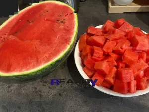 Prodej zahrady, Podbořany, Sídliště Míru, 200 m2