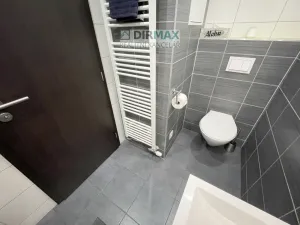 Pronájem bytu 2+kk, Plzeň - Bolevec, U Velkého rybníka, 60 m2