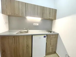 Pronájem bytu 2+kk, Olomouc - Hodolany, Březinova, 52 m2