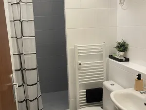 Pronájem bytu 2+kk, Olomouc - Hodolany, Březinova, 52 m2