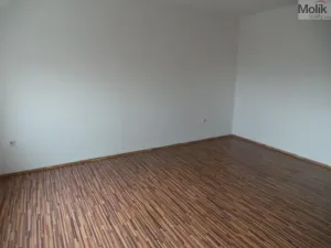 Prodej bytu 2+1, Most, Pionýrů, 54 m2