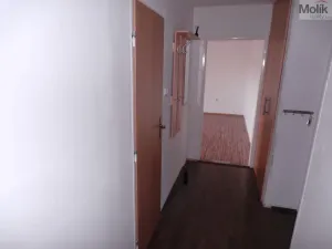 Prodej bytu 2+1, Most, Pionýrů, 54 m2