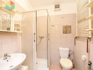 Pronájem bytu 1+kk, Králův Dvůr, Na Horizontu, 36 m2