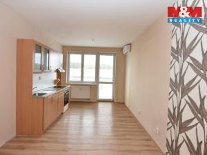 Pronájem bytu 2+kk, Mratín, Brandýská, 45 m2