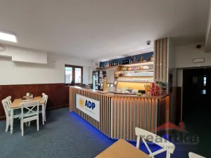 Prodej ubytování, Hradec nad Moravicí - Žimrovice, 1800 m2