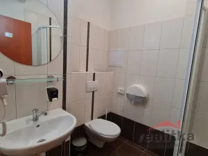 Prodej ubytování, Hradec nad Moravicí - Žimrovice, 1800 m2