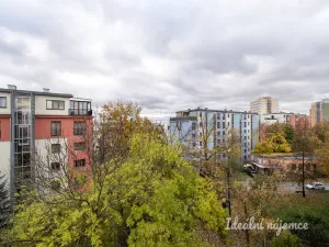 Pronájem bytu 2+1, Praha - Žižkov, Na vrcholu, 55 m2