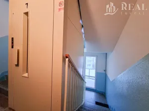 Pronájem bytu 1+kk, Jirkov, Studentská, 20 m2