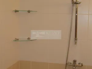 Pronájem bytu 1+1, Chomutov, Haškova, 30 m2