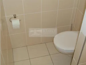 Pronájem bytu 1+1, Chomutov, Haškova, 30 m2