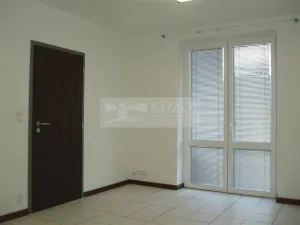 Pronájem bytu 1+1, Chomutov, Haškova, 30 m2