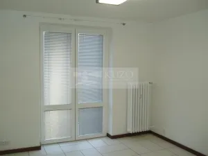 Pronájem bytu 1+1, Chomutov, Haškova, 30 m2