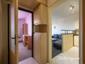 Pronájem bytu 2+kk, Praha - Krč, Štúrova, 40 m2