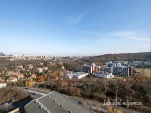 Pronájem bytu 2+kk, Praha - Krč, Štúrova, 40 m2