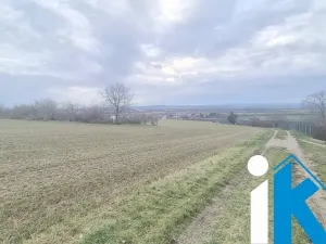 Prodej chaty, Držovice, 16 m2