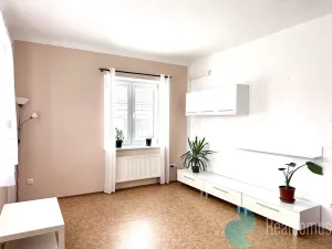 Pronájem bytu 3+1, Litvínovice, 70 m2