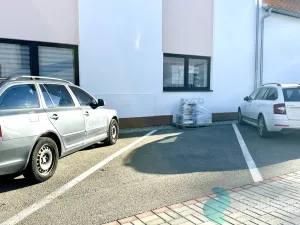 Pronájem bytu 3+1, Litvínovice, 70 m2