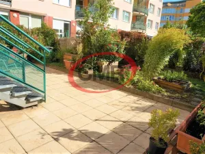 Pronájem bytu 2+kk, Praha, Voskovcova, 81 m2