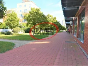 Pronájem bytu 2+kk, Praha, Voskovcova, 81 m2