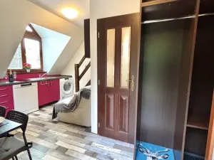 Prodej bytu 1+1, Rokytnice nad Jizerou - Rokytno, 28 m2